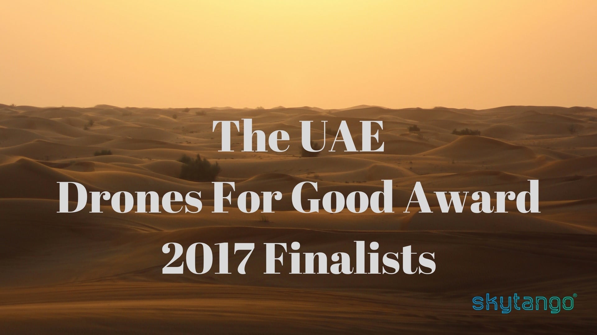 The UAE Drones For Good Award 2017 Finalists